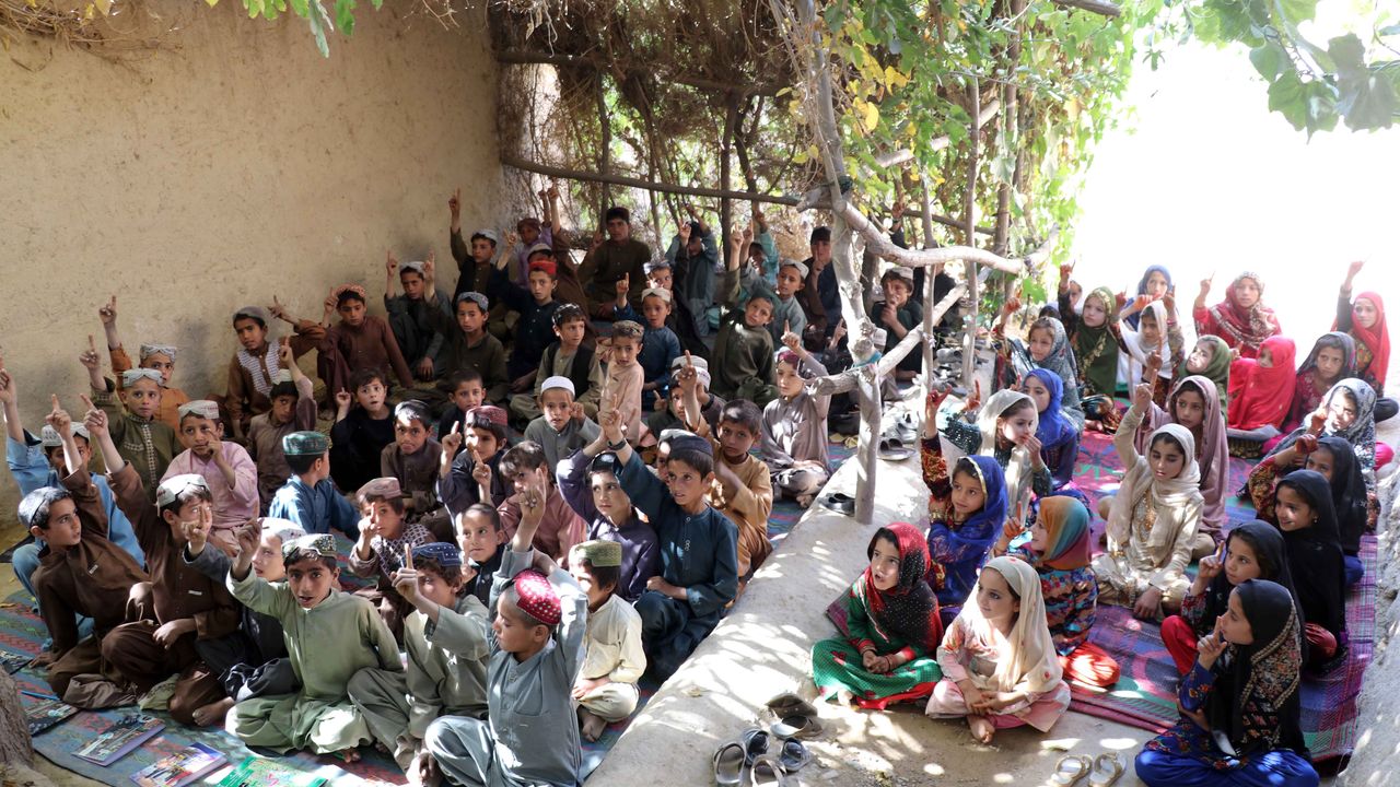 Afganistanlı Gençten Eğitim Seferberliği