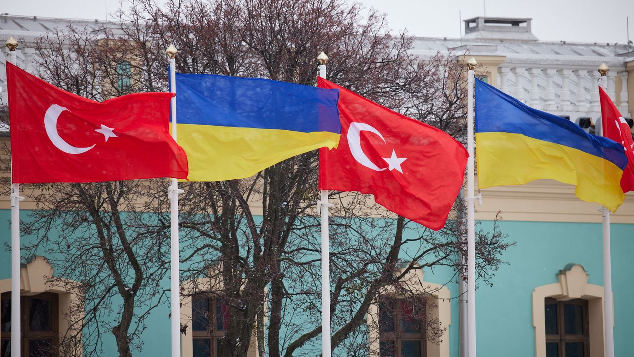 Ankara'daki zirvede Rus ve Ukraynalı delegeler birbirine girdi