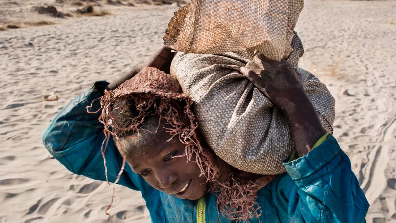 Kongo Demokratik Cumhuriyeti'ndeki kobalt madenlerinde çocuklar "köle" gibi çalıştırılıyor