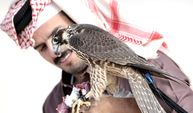 Katar'da 14. Geleneksel Şahin ve Avcılık Festivali 📷