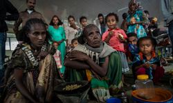 Etiyopya'nın Tigray bölgesinde neler oluyor, yaşananlar niçin önemli?