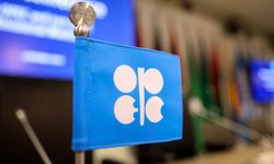 ABD, OPEC+ Kararlarının 1 Ay Ertelenmesini İstedi
