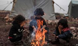 Suriyeli Çocuklar Geçinmek İçin Dağlarda Odun Topluyor