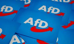 Uzmanlar, Almanya'da AfD Partisinin yükselişini ülke için "tehlike" görüyor