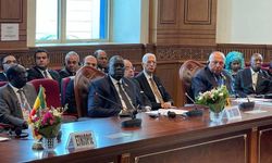 Mısır, Sudan'a komşu ülkeleri toplantıya çağıracak