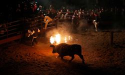 Kurban Bayramı'na katliam diyenlerin görmezden geldiği vahşet: "Bull of Fire!"