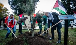 Karadağ'da Filistin halkıyla dayanışma etkinlikleri düzenlendi