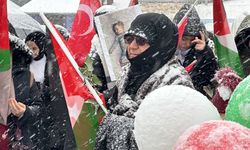 Erzurum ve Kars'ta doktorlar Gazze için "sessiz yürüyüş" gerçekleştirdi
