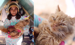 Yerinden edilen Gazzeli kızın tek sığınağı kedisi