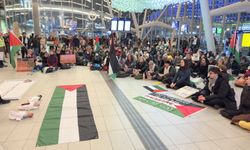Hollanda'da Filistin'e destek için oturma eylemleri yapıldı