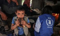 Dünya Gıda Programı, Gazze'nin kuzeyine yardımı durdurdu