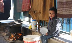 Yerinden edilmiş Filistinli aileler, açlıkla mücadele ediyor