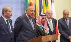 Mısır'daki Arap Bakanlar toplantısında "Gazze için acil ateşkes" çağrısı yapıldı