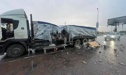 İngiltere: Gazze'ye yardım konvoylarına saldırılar dehşet verici