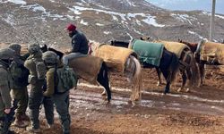 İsrail, Suriye'nin Hermon Dağı'nda iki askeri nokta kuruyor