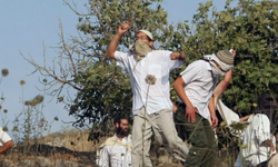 Gaspçı İsrailliler, Batı Şeria'da 3 kişiyi yaraladı