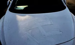 Almanya'da ırkçı saldırı: Kanla gamalı haç çizildi