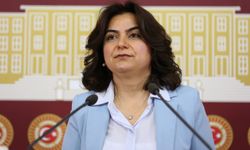 DEM partili vekilden "LGBT'li çocuk" çıkışı!