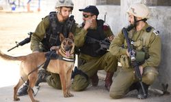 İsrail askerleri kuduz oldu: 27 asker tedavi altında