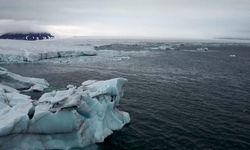 Kuzey Kutbu 1900'den bu yana en sıcak yılını yaşadı