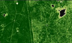 İsrail "zehirleri" Kuneytra'da yüzlerce hektarı yok etti