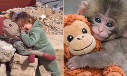 Maymun Punch ve Gazze: Seçici empati nasıl oluşuyor?