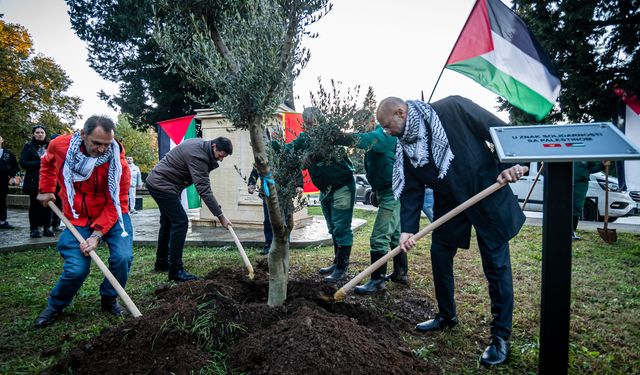 Karadağ'da Filistin halkıyla dayanışma etkinlikleri düzenlendi