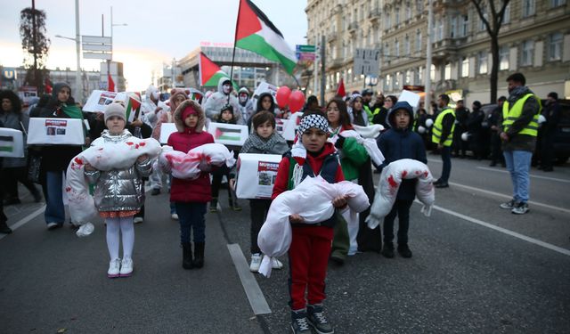 Avusturya'da "İsrail'in Gazze'ye yönelik işgali durdurulsun" gösterisi