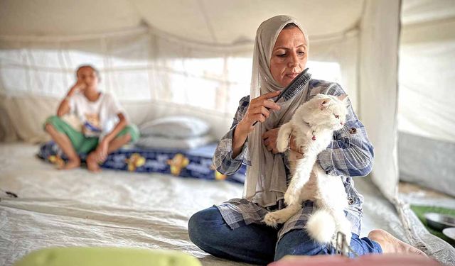 Gazzeli kadın, İsrail saldırılarına rağmen kedilerinden vazgeçmiyor