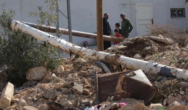 Batı Şeria'da doğa katliamı: 1608 zeytin ağacı söküldü