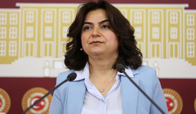 DEM partili vekilden "LGBT'li çocuk" çıkışı!