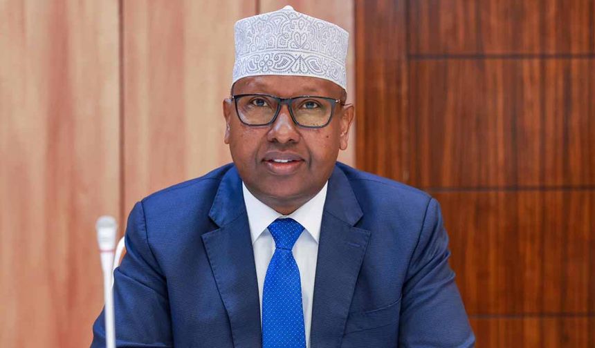 Somali'den BAE ve İsrail'e rest: Egemenlik kırmızı çizgi