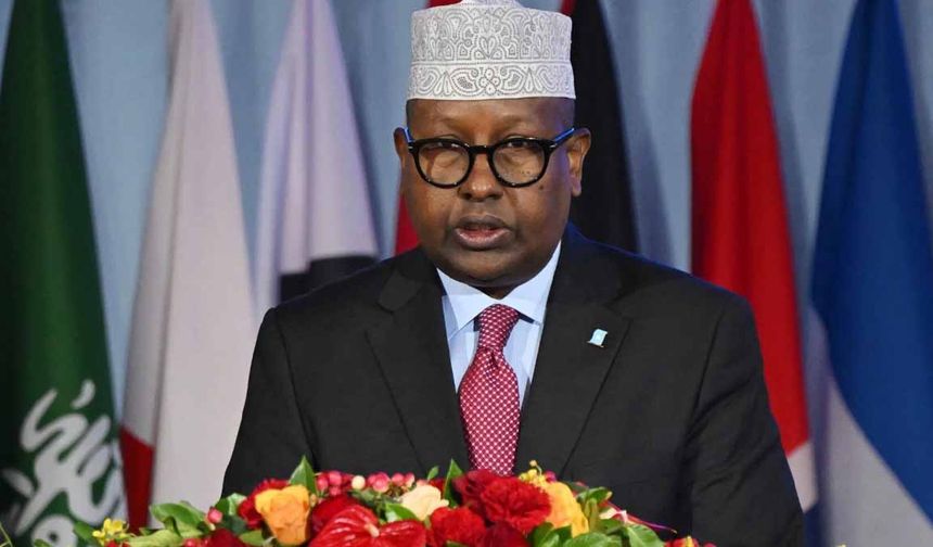 Somali: BAE ile anlaşmalar bitti, İsrail tehdit