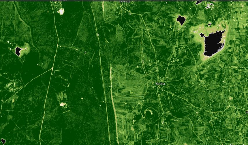 İsrail "zehirleri" Kuneytra'da yüzlerce hektarı yok etti