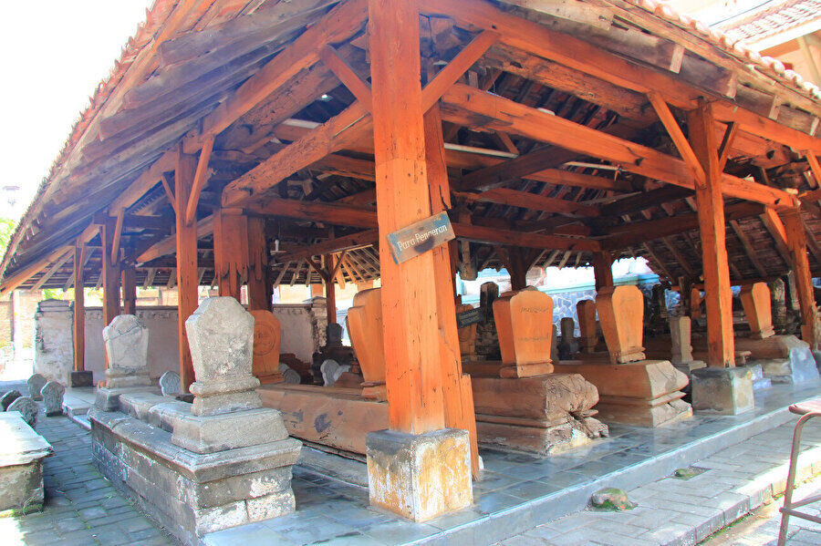 resized_8073b-cddb3e83fotogcc86raf3