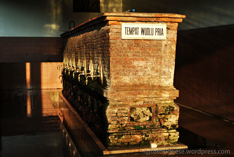 resized_a152a-8a9325d5fotogcc86raf8