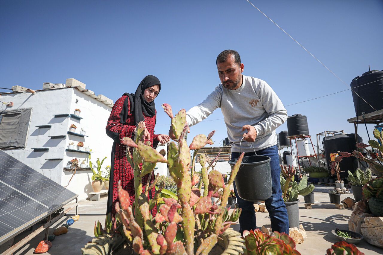 AA-20230425-30954425-30954417-FILISTINLI_CIFT_EVLERININ_CATISINDA_YETISTIRDIKLERI_ALOE_VERADAN_DOGAL_SABUNLAR_URETIYOR