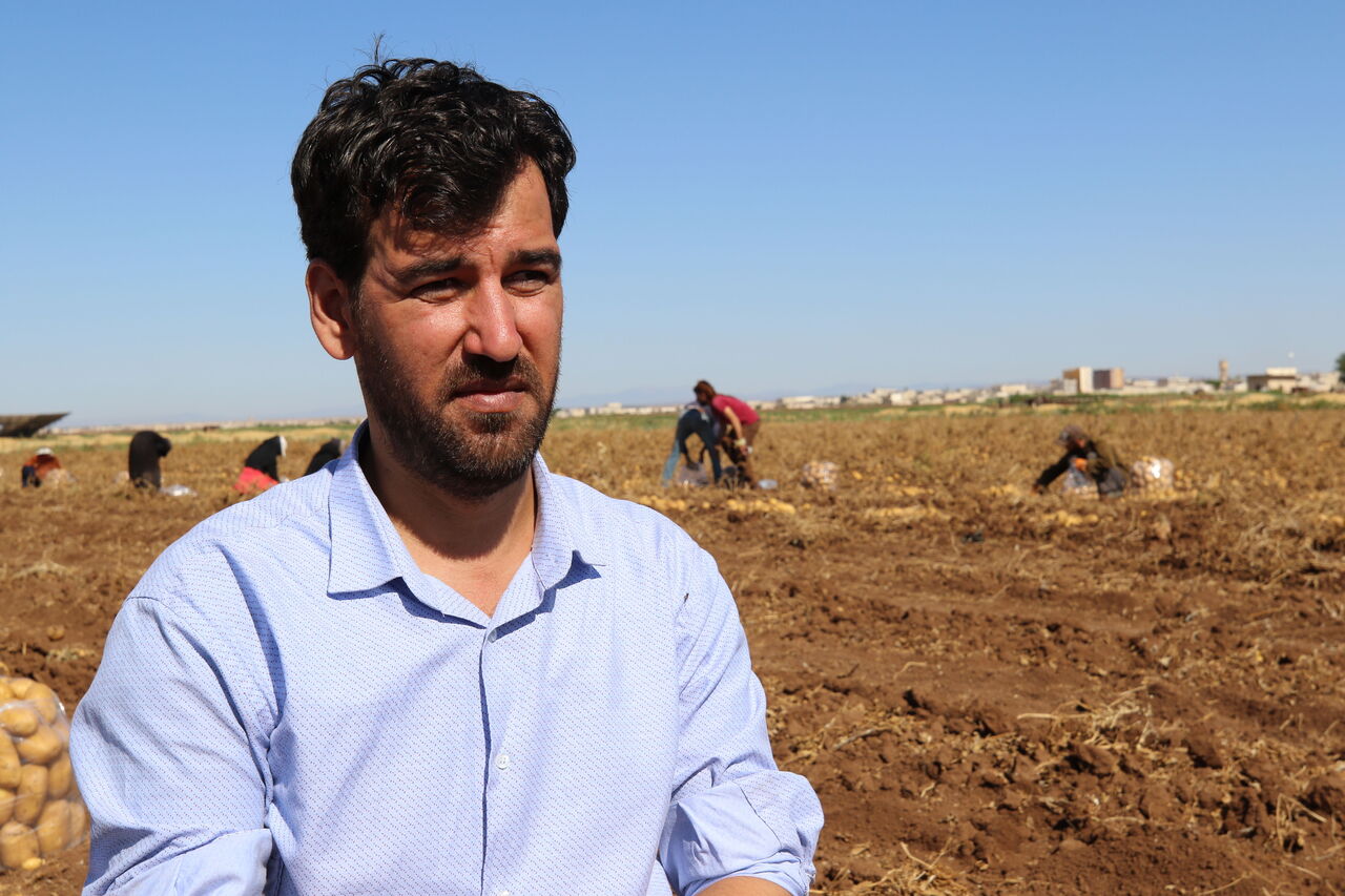 AA-20230719-31712689-31712688-SURIYENIN_KUZEYINDE_PATATES_HASADI_CIFTCILERIN_YUZUNU_GULDURDU