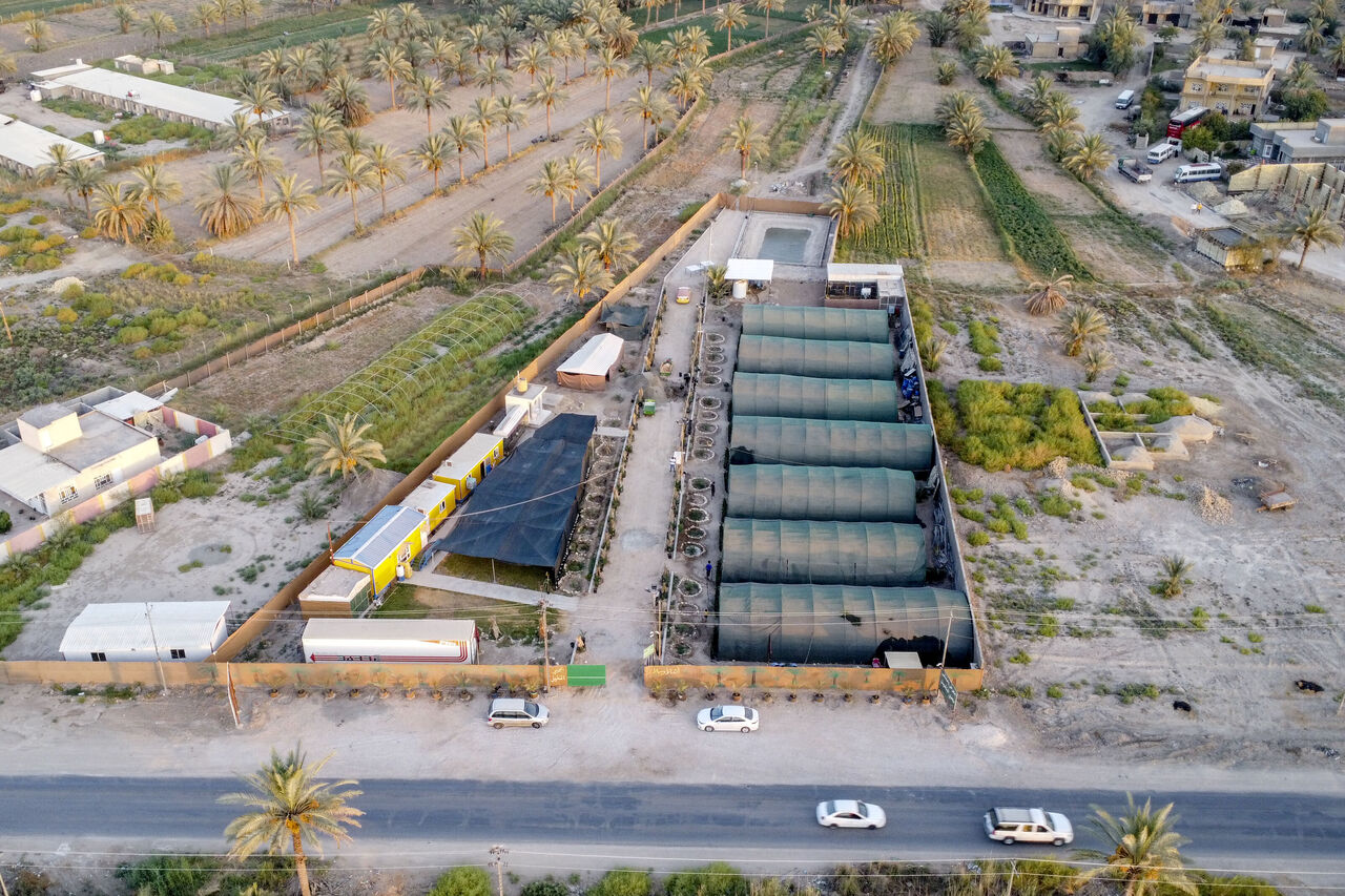 AA-20230822-31967684-31967658-IRAKLI_CEVRE_DOSTU_PETROL_YERINE_HURMA_PROJESIYLE_6_YILDA_BINLERCE_AGAC_DIKTI