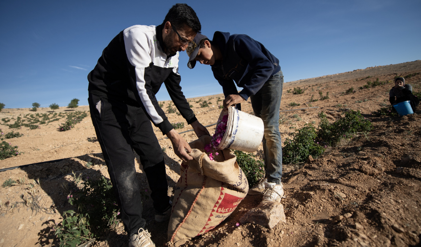 Daily Ummah9653 2025 05 30T111707.921